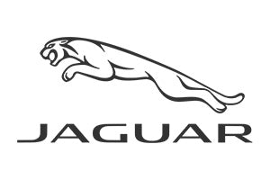 Jaguar Yellow Speed Coilovers & Big Brake Kits