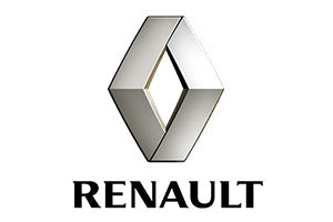 Renault Yellow Speed Coilovers & Big Brake Kits