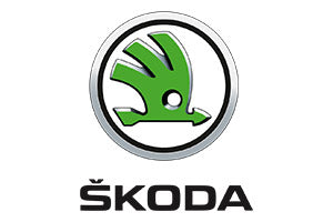 Skoda Yellow Speed Coilovers & Big Brake Kits